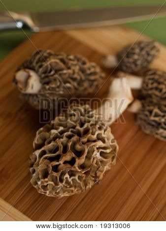 เห็ดริกโมเรล