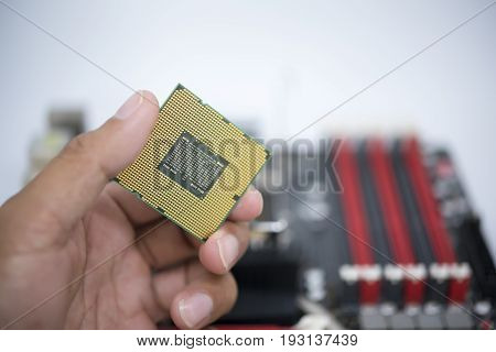 Hand Holding Cpu Show  The Ic Surface And Have Motherboard Open Socket Mount For Cpu Isolated On Whi