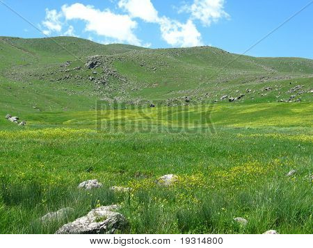 forår i bjergene, aragats bjerg, Armenien