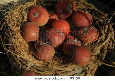 Rustical Apples