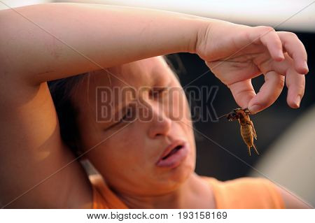 The girl looks at the hideous insect a bear-like mole in the summer noon in the village courtyard