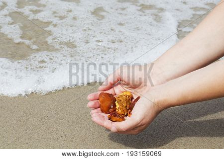 Amber in the hand with a bright reflection on the palm against the background of the sea. Bright glow of the sun stone in female hand. Mineral from resin yellow with insects inside against the sea.