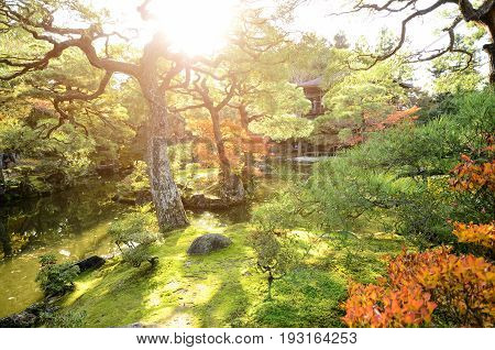 Autumn garden at Ginkakuji temple Kyoto Japan.