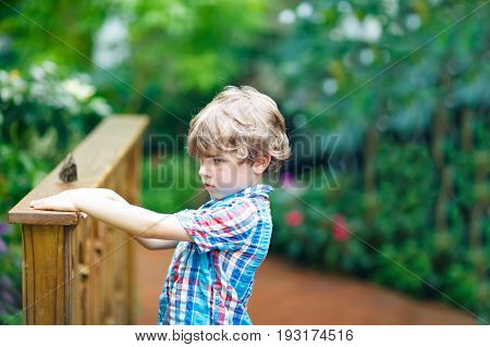 Little blond preschool kid boy discovering flowers and butterflies at botanic garden. Schoolchild interested in biology. Active educational leisure with kids in museum.