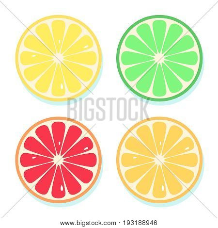 Citrus Slices Of Lemon, Orange, Lime And Grapefruit. Vector Illustration