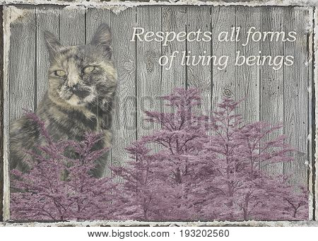 Shabby Chic Style Background