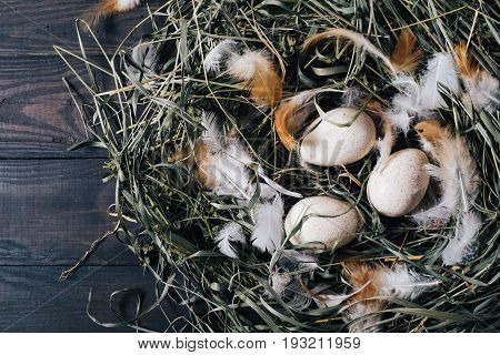 Natural unpainted chicken eggs with bright feathers on the dry green grass in the nest on a wooden dark background of vintage boards close-up easter eggs top view