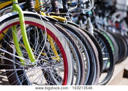 Bicycles in the park waiting for new clients. Bicycles for rent.