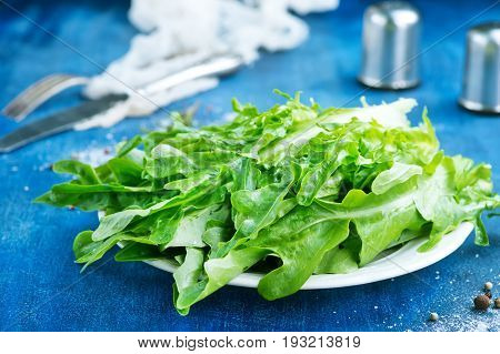 Ruccola