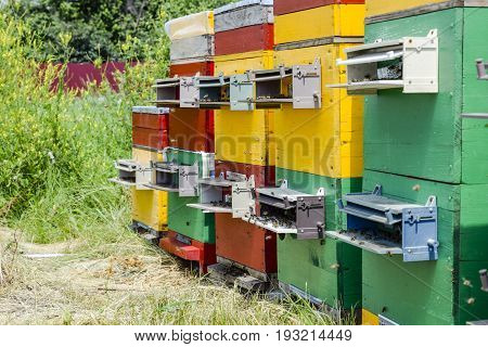 Beehive Beehives In The Apiary. Growing Bees To Get Honey. Bee Houses