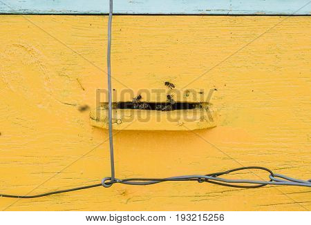 Bees Fly At The Entrance To The Hive. Tray Of The Hive. Hole Entrance To The Hive.
