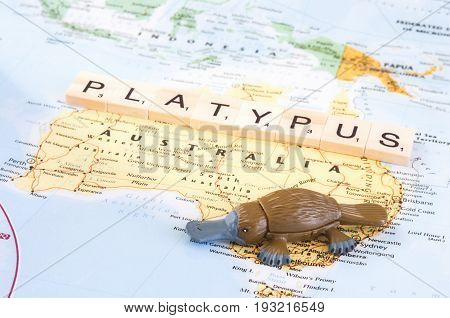 MAGNITOGORSK, RUSSIA - JUNE 09, 2017:  A photo with a toy platypus and letters on the map. Illustrative editorial.