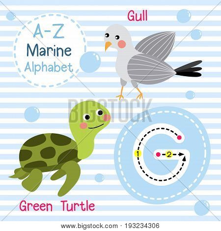 Cute children sea alphabet flashcard of funny marine animal cartoon G letter tracing for kids learning English vocabulary vector illustration.