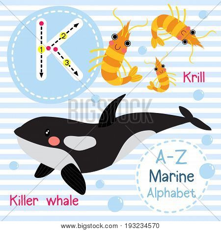 Cute children sea alphabet flashcard of funny marine animal cartoon K letter tracing for kids learning English vocabulary vector illustration.
