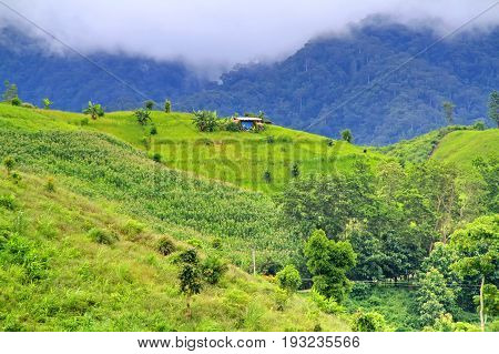 Beautiful landscape of hovel on mountains mist in the north of Thailand