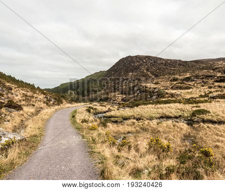 Gravel Road At Torc Mountain