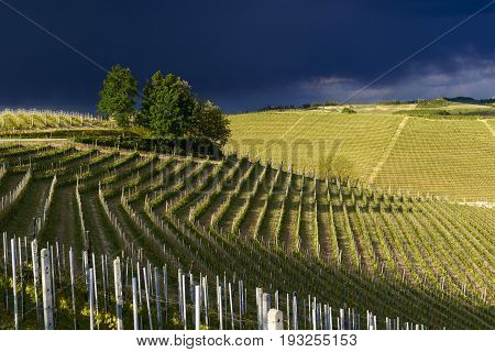 View Over The Vineyards And Langa Hills During A Thunderstorm