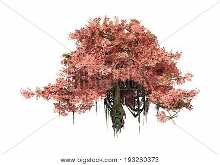 3D Rendering Anciant Tree On White