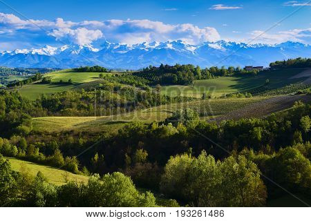 View Of The Vineyards And Hills Of Langa Piemonte Italy
