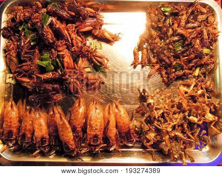 Fried Insects On The Market Of Khao San Road On Bangkok