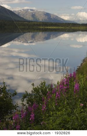 Fireweed ทะเลสาบ และ ภูเขา - ร้อนอลาสก้า