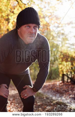 Mature Male Runner Pausing For Breath During Exercise In Woods