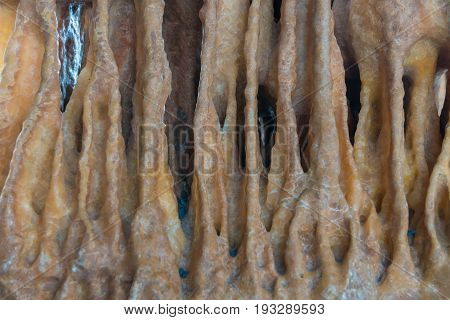 Texture Stone Of Natural Or Stalactites Abstract For Design