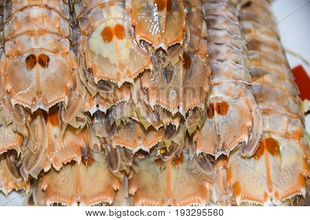 Mantis Shrimps Oratosquilla Oratoria Food Ingredient Cooking