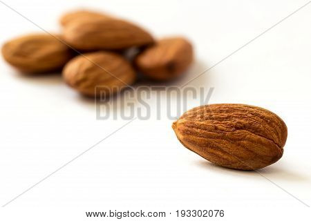 One apricot kernel on white surface with blurred apricot kernels on background close up