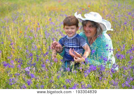 Grandma and little boy in the field of flowers. Happy grandmother play with her grandson in nature