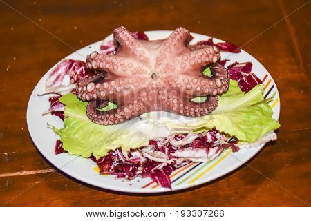 A Whole Octopus On Green And Red Lettuce Leaves On A Plate
