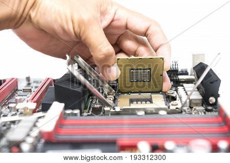 Hand Holding Cpu Show  The Ic Surface And Have Motherboard Open Socket Mount For Cpu Isolated On Whi