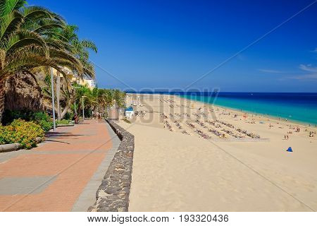 View on the street with green palm trees Atlantic ocean with green water beach with golden sand and blue sky in Morro Jable on the Canary Island Fuerteventura Spain.