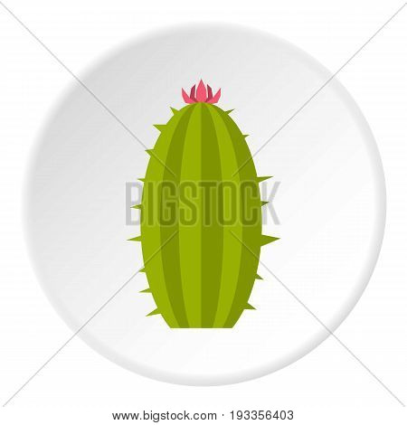 Green mexican cactus icon in flat circle isolated on white vector illustration for web