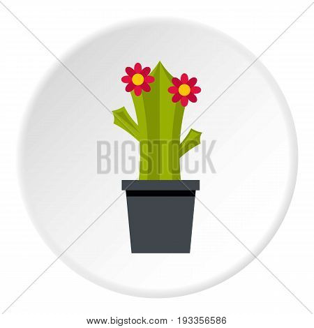 Cactus with flower icon in flat circle isolated on white vector illustration for web