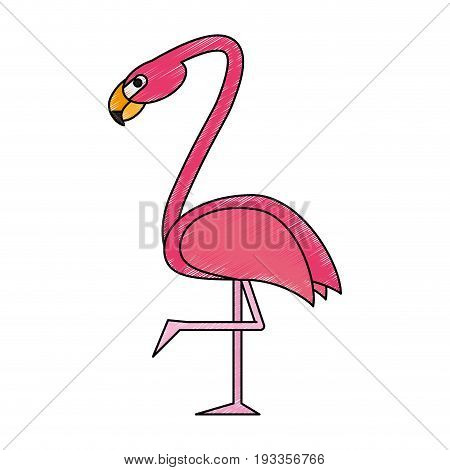 Exotic animal swan doodle vector illiustration design graphic