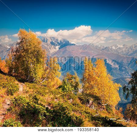 Colorful Autumn Morning In The Caucasus Mountains.