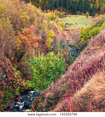 Colorful Autumn Forest In Caucasus Mountains Used As Background.