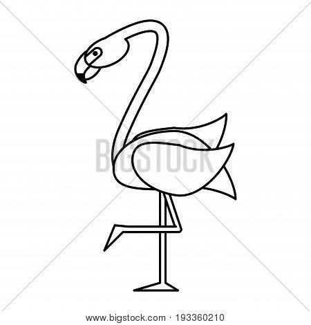 Exotic animal swan paint vector illiustration design graphic