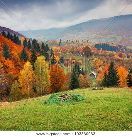 Colorful Rural Scene In The Kvasy Village