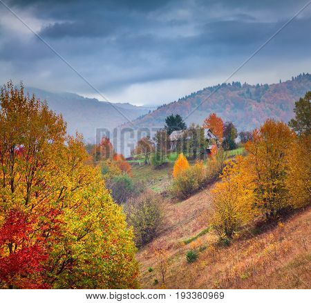 Colorful Rural Scene In The Kvasy Village