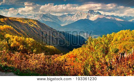 Colorful Autumn Landscape In The Caucasus Mountains.