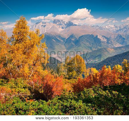 Colorful Autumn Morning In The Caucasus Mountains.