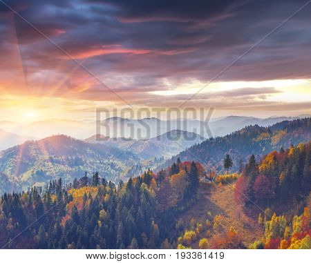 Colorful Autumn Morning In The Carpathians.