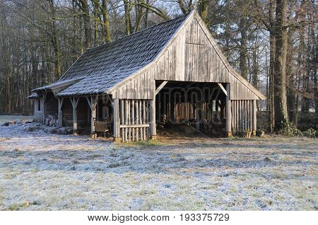 Winter scenery in the Dutch province of Overijssel
