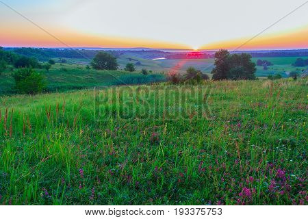Summer landscape of the hilly area with separate trees wild flowers and vodoyoy. All this is penetrated by bright beams of a rising sun which has partially ascended on the horizon. Krasnodar Krai.