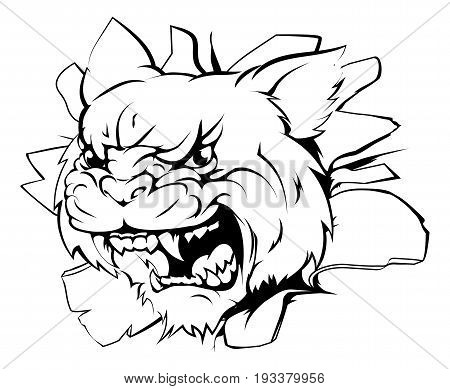 A wildcat sports mascot or character breaking out of the background or wall