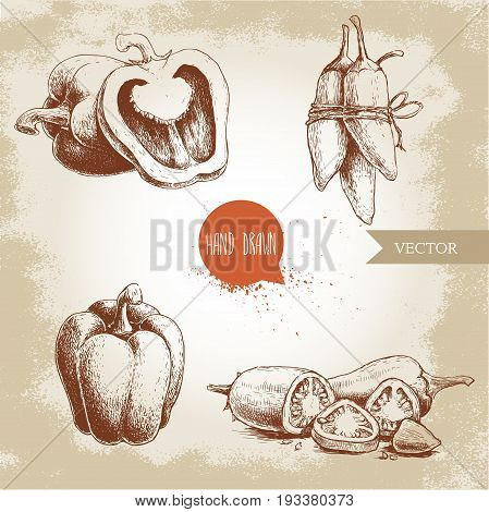 Hand drawn sketch collection of different types of pepper. Bell sweet peppers composition sliced hot chili peppers and jalapeno peppers bunch . Vintage market fresh vegetables set. Spicy food.