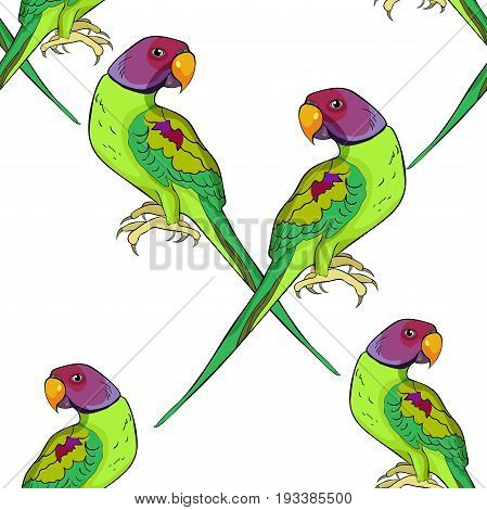 Seamless Pattern Indian Ringed Parrot Ozherelovy Parrot  Vector Illustration