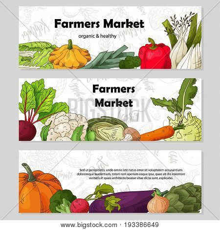 Food design with vegetable. Hand drawn sketch of beet and daikon. Organic fresh product for card or poster design for cafe, market. Colorful vector illustration